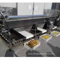 Factory Lemon sorting mahcine